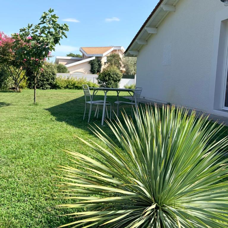 T2 avec Jardin - Port de Larros - Coeur Bassin - Appartement 1 Chambre - 13