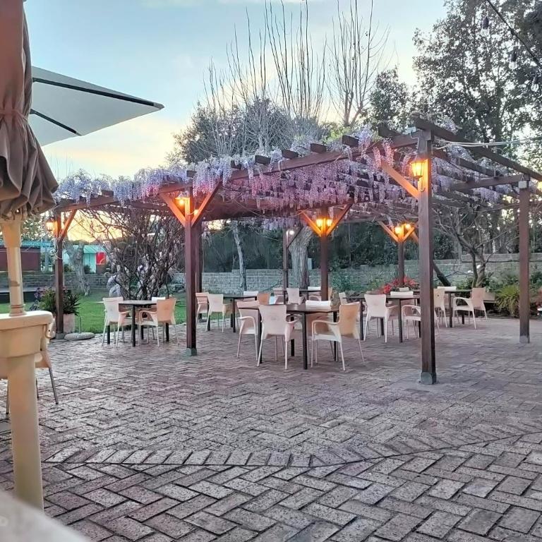 Camping Internazionale Di Castelfusano - Casa Mobile - 1