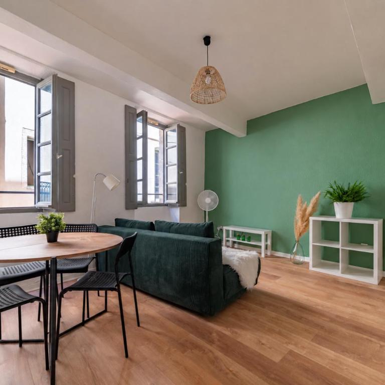 Centre ville - Proche des Arènes et de la Maison Carrée - Appartement 1 Chambre - 17