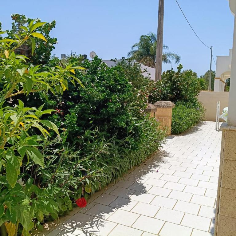 Casa vacanze Salento Nonno Totò - Casa con 3 Camere da Letto - 54
