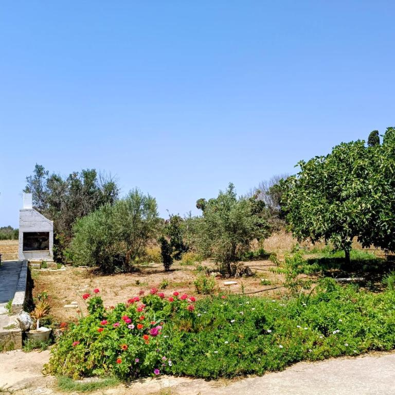 Casa vacanze Salento Nonno Totò - Casa con 3 Camere da Letto - 50