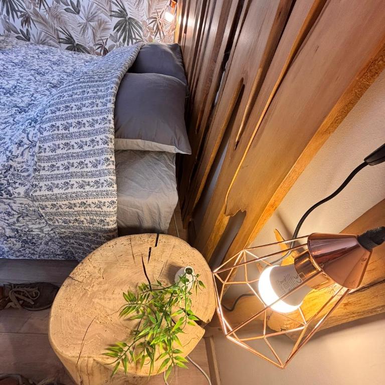 Oasis deco nature atypique avec clim centre beziers - Appartamento con 2 Camere da Letto - 36