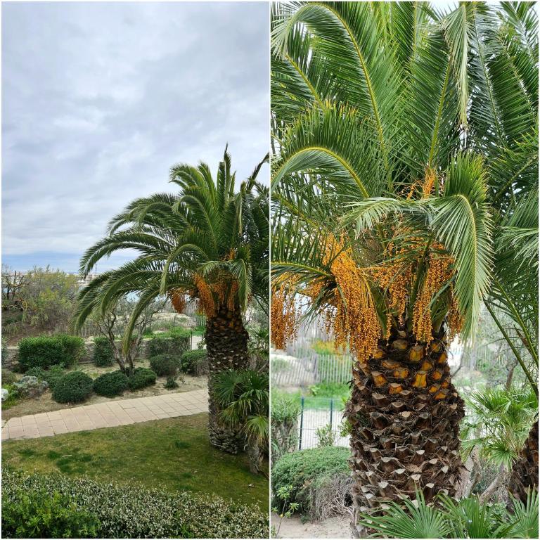Beachfront Apartment for 6 Free WiFi, Air Conditioning, Garage, Swimming Pool - Appartement 2 Chambres - 21