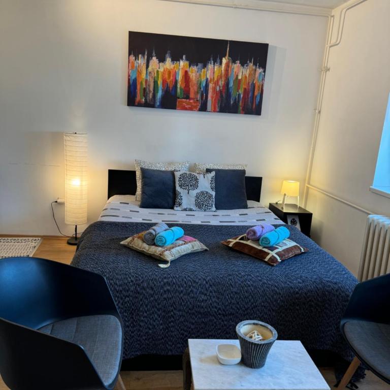 Scandinavian Studio Belgrade Center - Studio Apartman - 5