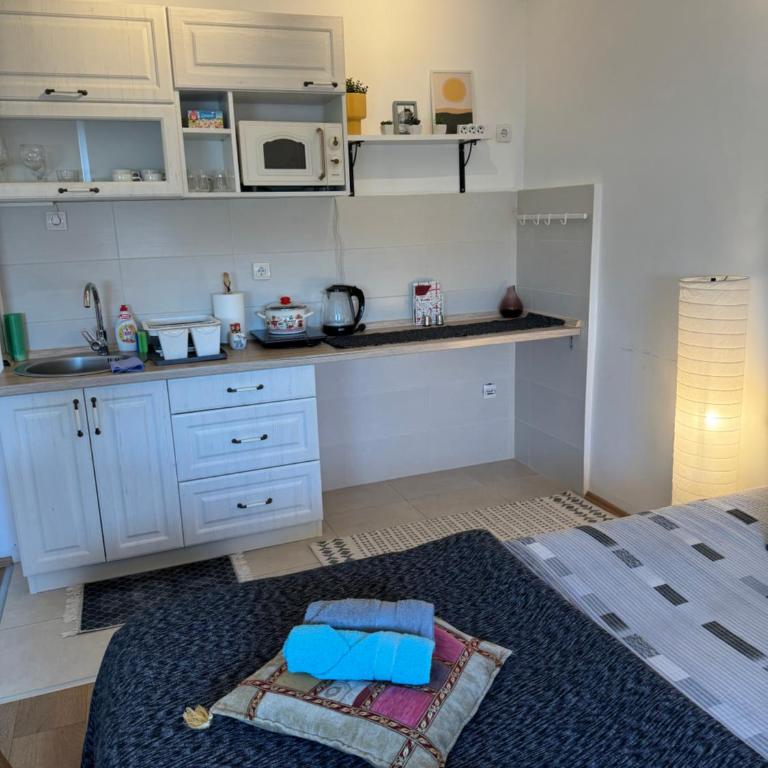 Scandinavian Studio Belgrade Center - Studio Apartman - 7