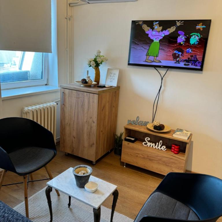 Scandinavian Studio Belgrade Center - Studio Apartman - 8