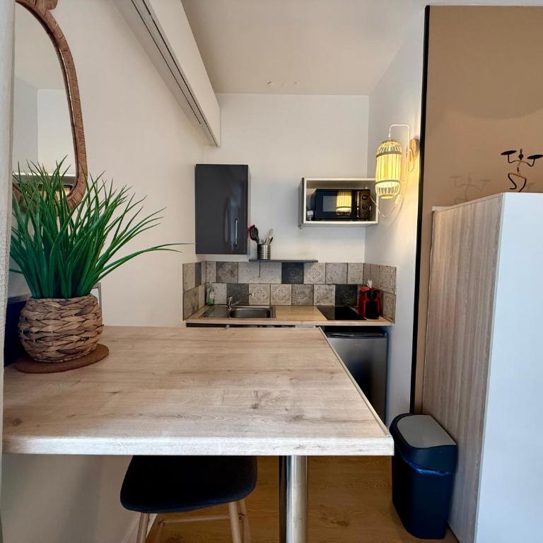 Jardin des Plantes - Hyper Centre - Wifi - 2 studios - Studio mit Terrasse - 18