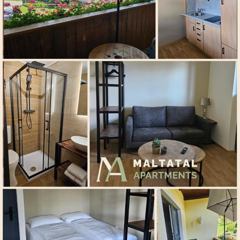Maltatal Apartments - Apartment mit Aussicht und Balkon - 1