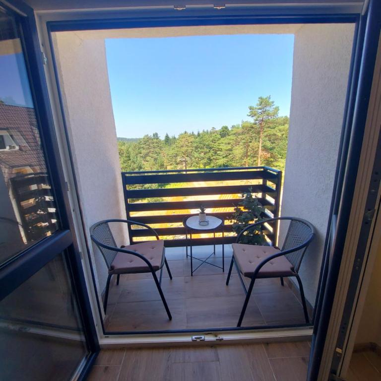 Apartman Davidović MD 2 Divčibare - Apartman sa 1 Spavaćom Sobom - 12