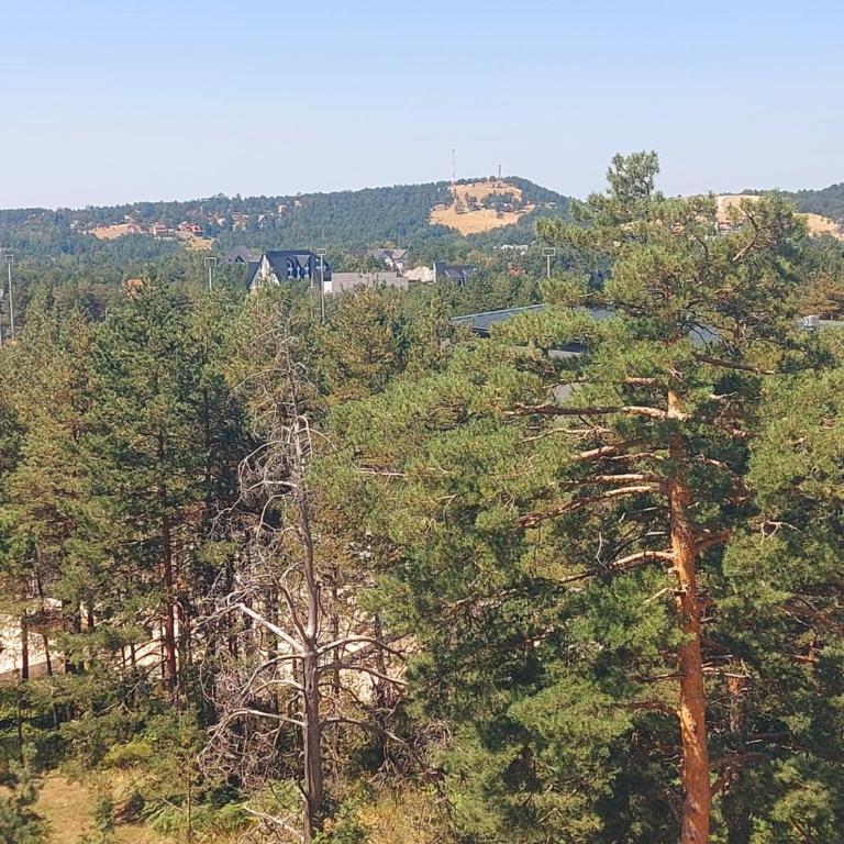 Apartman Davidović MD 2 Divčibare - Apartman sa 1 Spavaćom Sobom - 14