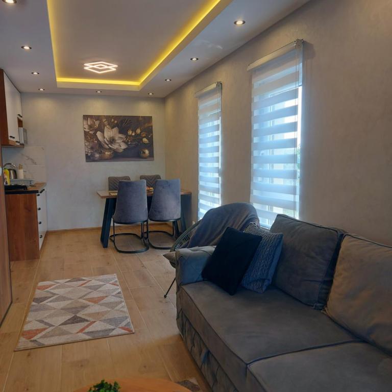 Apartman Davidović MD 2 Divčibare - Apartman sa 1 Spavaćom Sobom - 18