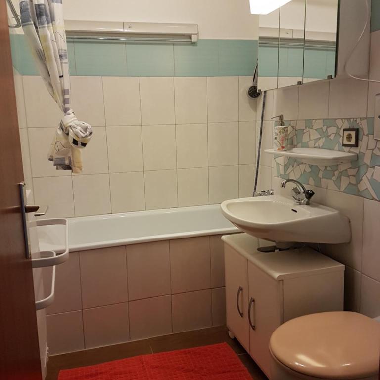 Ferienwohnung Pichlarn - Apartamento de 1 dormitorio con balcón - 11