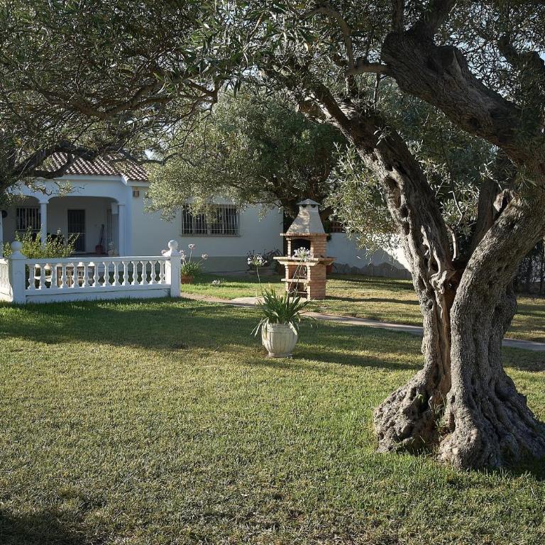Villa with great garden and pool - Casa de 2 dormitorios - 39