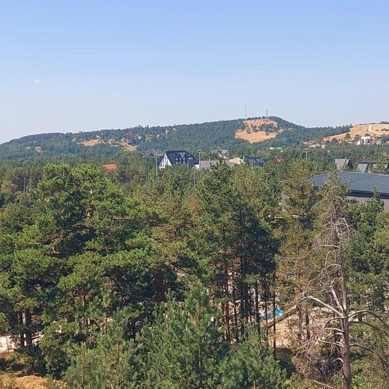 Apartman Davidović MD 2 Divčibare - Apartman sa 1 Spavaćom Sobom - 25