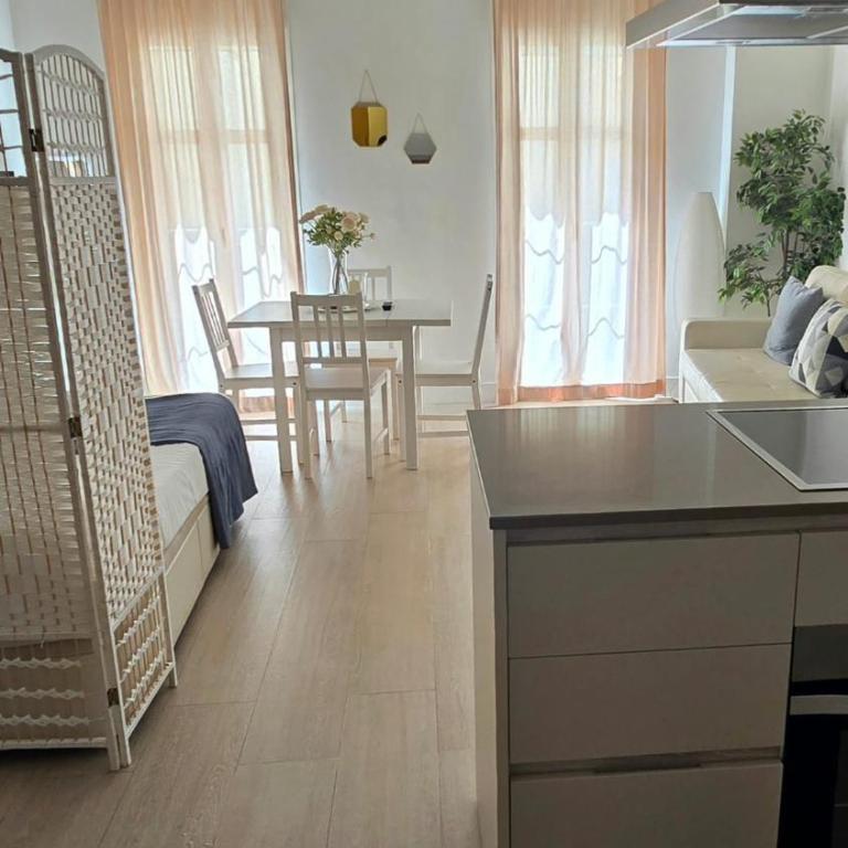 Acogedor estudio a 3 minutos desde Calle Larios - Studio - 4