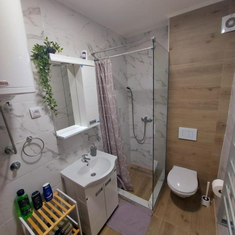 Apartman Davidović MD 2 Divčibare - Apartman sa 1 Spavaćom Sobom - 39