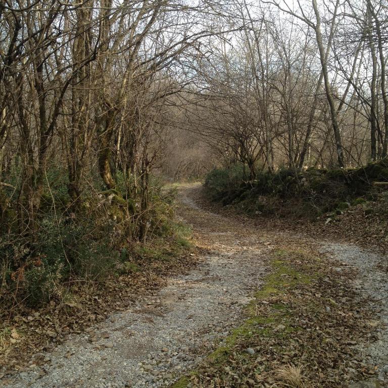 Green Silence - Vuk - Apartman sa 2 Spavaće Sobe - 23