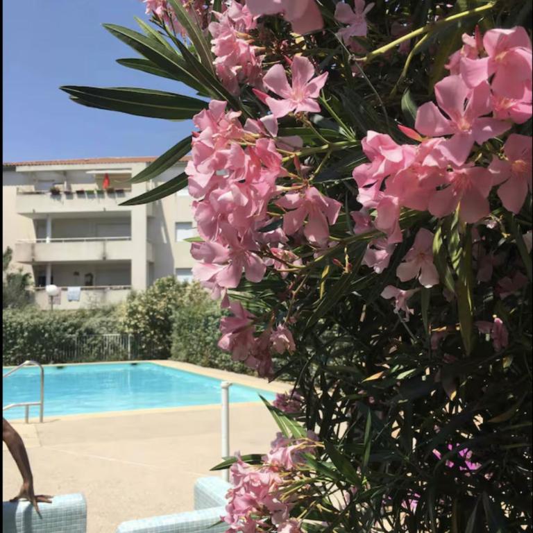 Le Cocon d'Argent, Terrace and Pool - Apartment mit 1 Schlafzimmer und Terrasse - 7