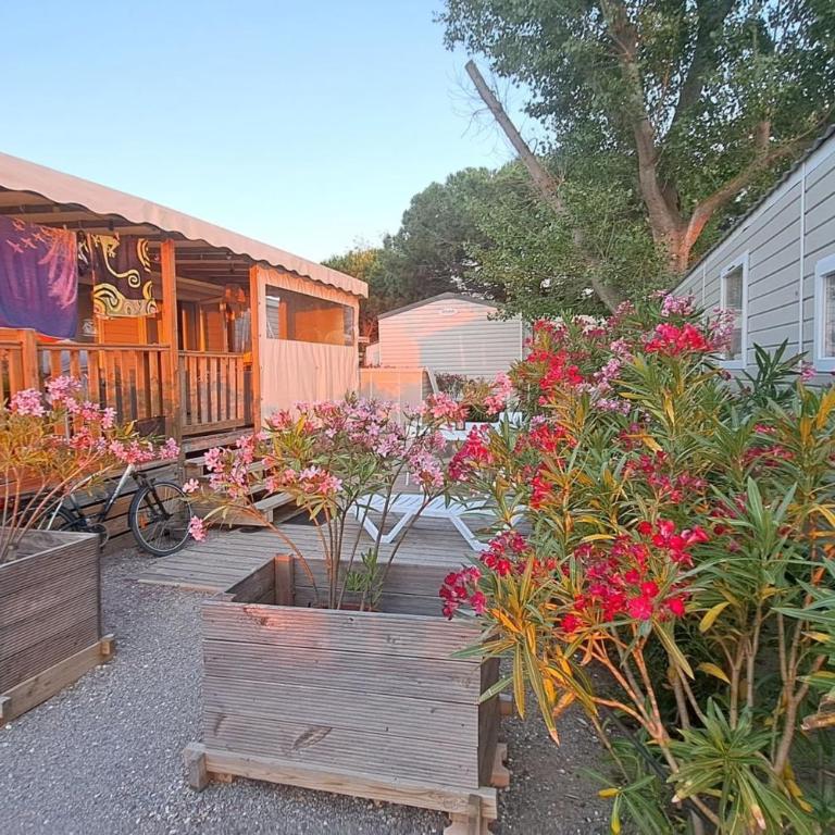 Mobil-Home 2 chambres 2 salles de bain - Bungalow - 3