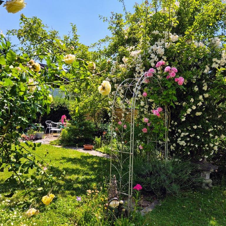 Ferienwohnung Pickenhan - Appartamento con Balcone - 28