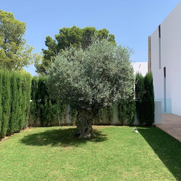 Luxury Villa Beatriz Moraira - Apartment - 53