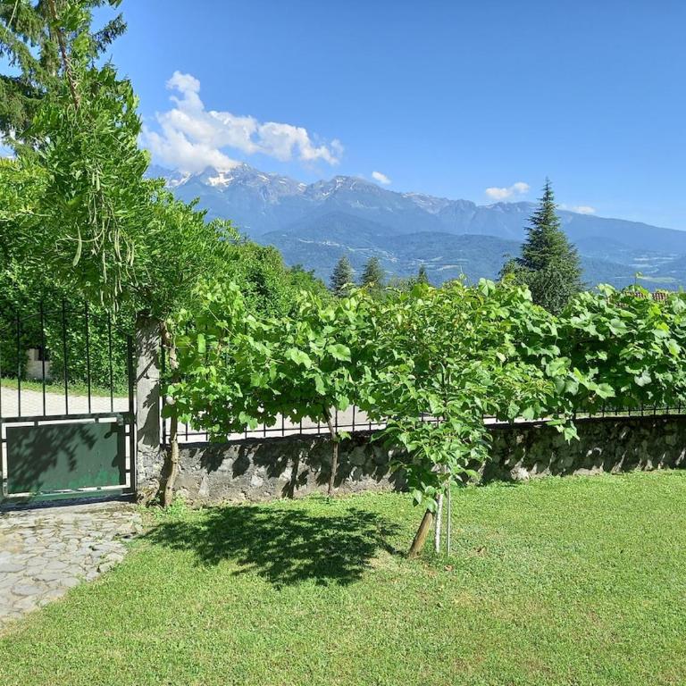 Gîte du Manival - Appartamento con 1 Camera da Letto - 19