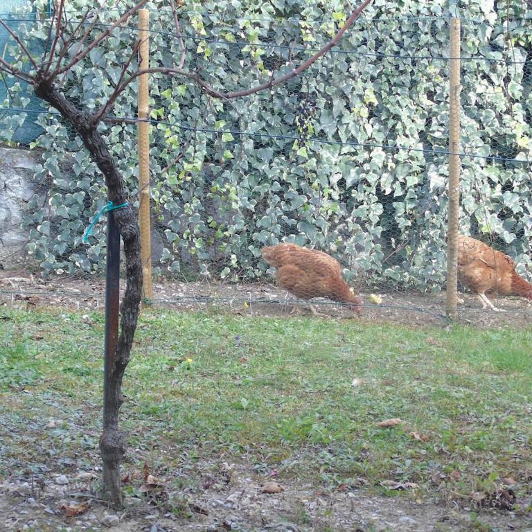 Gîte du Manival - Appartamento con 1 Camera da Letto - 6
