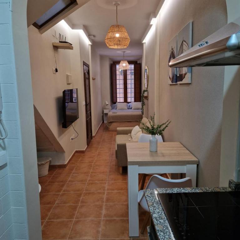 Oliva Apartments Molinillo - Standard Studio - 8