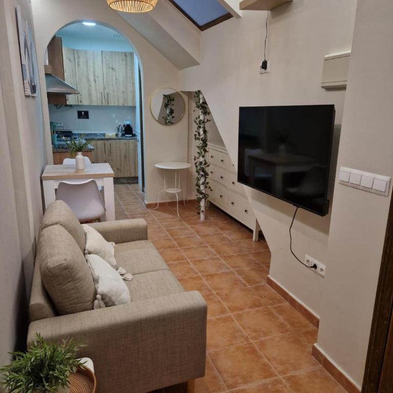 Oliva Apartments Molinillo - Standard Studio - 18