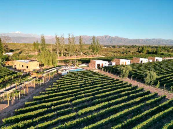 Rincon del Malbec - Chalet Superior - 43