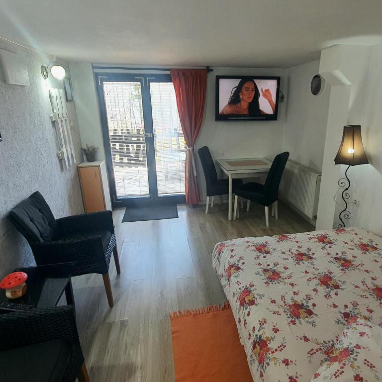 Apartments Milena Zlatibor - Dvorište & Parking - Apartman - 14