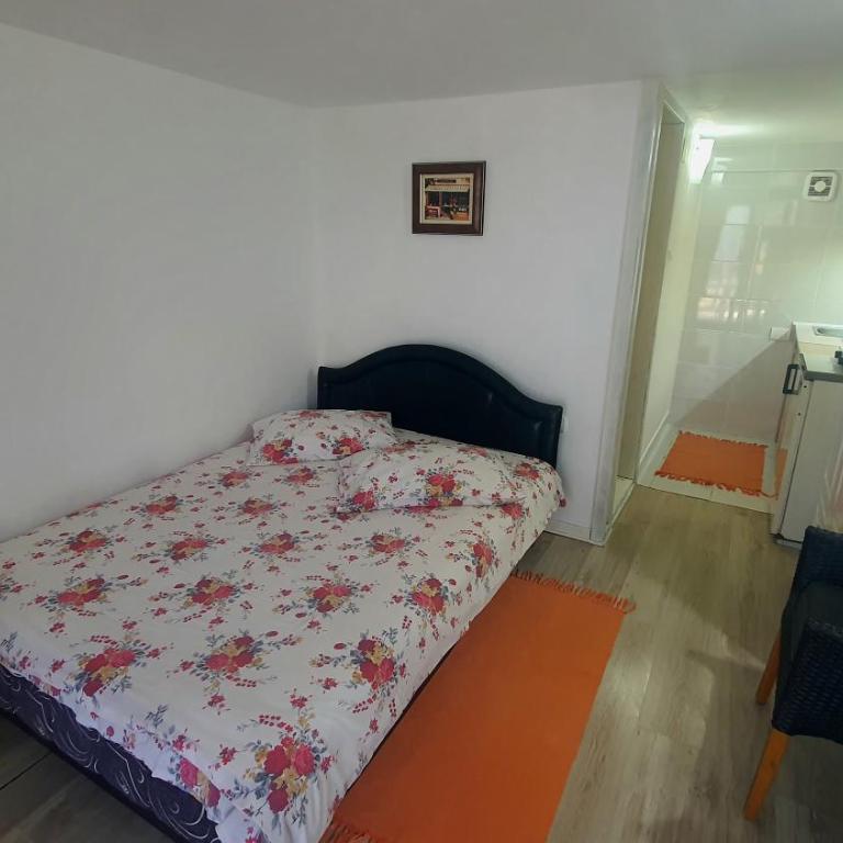 Apartments Milena Zlatibor - Dvorište & Parking - Apartman - 16