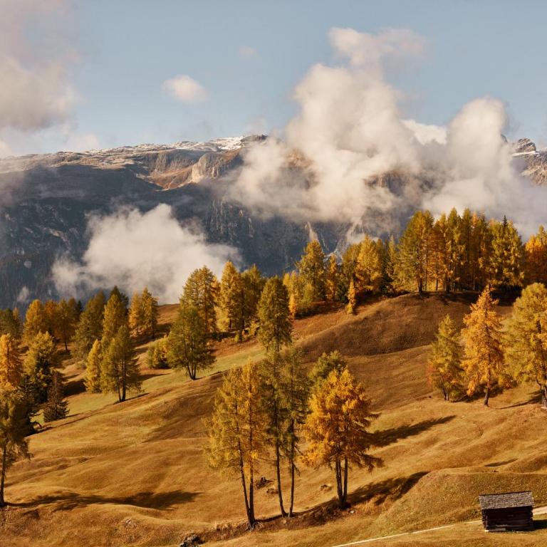 Goldener Herbst in Meran - "Apartment Piave" - ideal für Paare, Frühstück am Balkon, 10 Min ins Zentrum, private Garage, Aufzug - Südtirol Guest Pass inklusive - One-Bedroom Apartment - 51