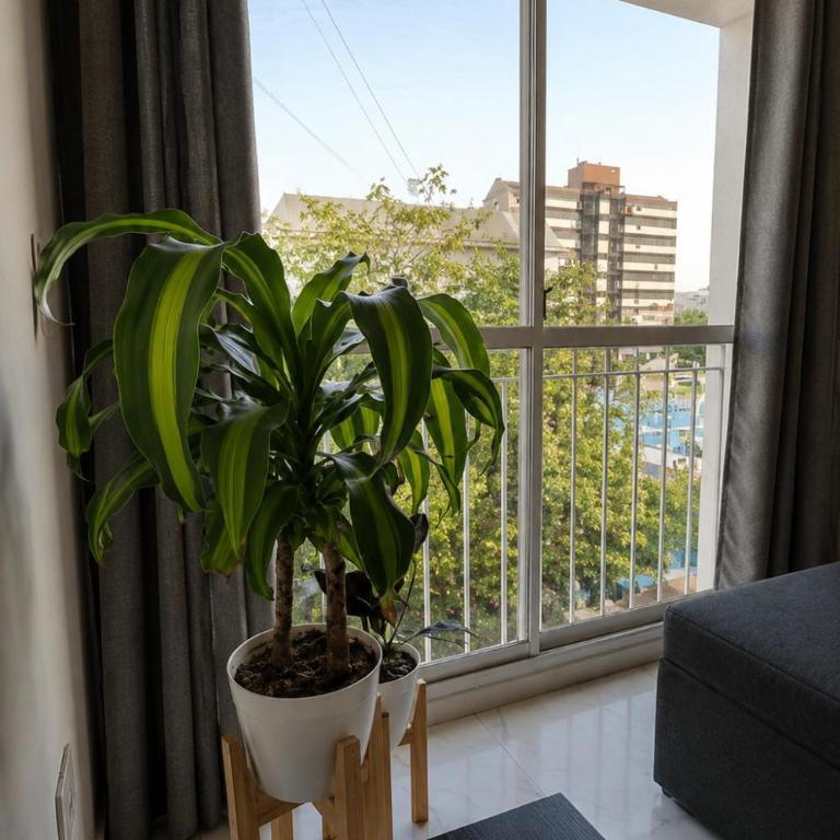 Edificio Juan Bautista Justo - Apartamento de 1 dormitorio - 8