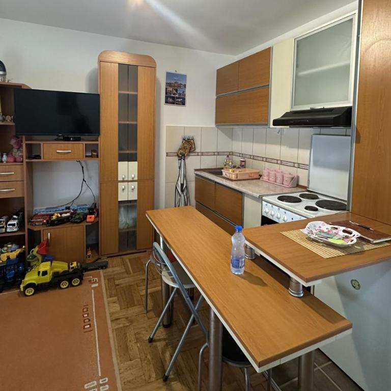 Pines Garden Zlatibor - One-Bedroom Apartment - 5
