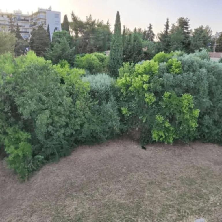 Family Roof Top duplex chez Marine - Appartement - 20