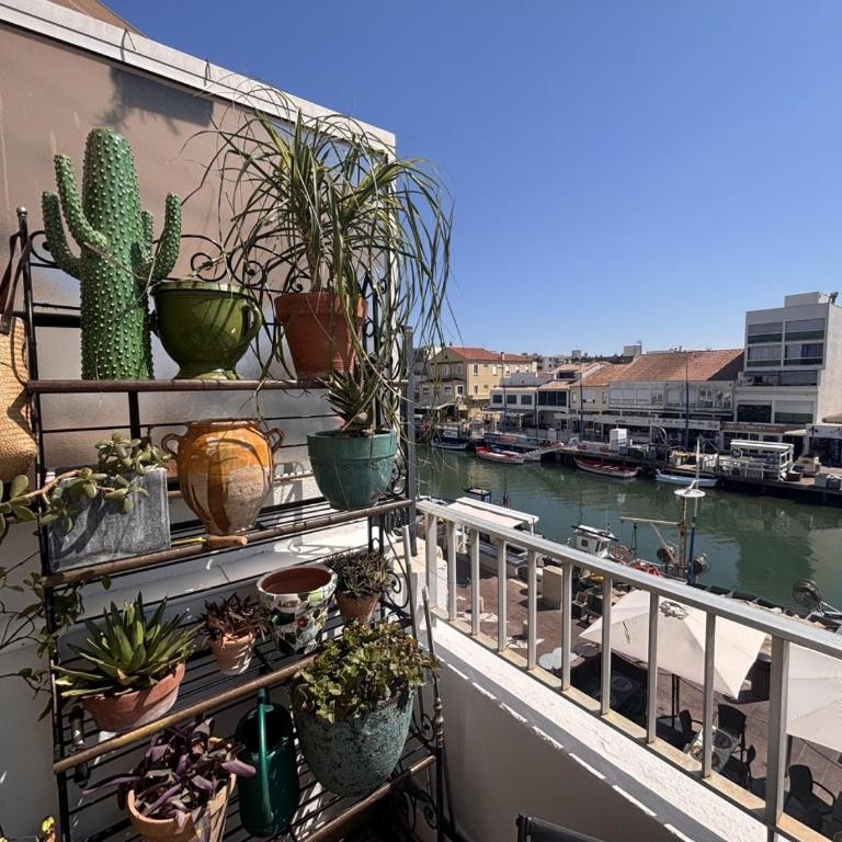 Les Quais de Palavas, Terrace & Air Conditioning - Appartement 2 Chambres - 36