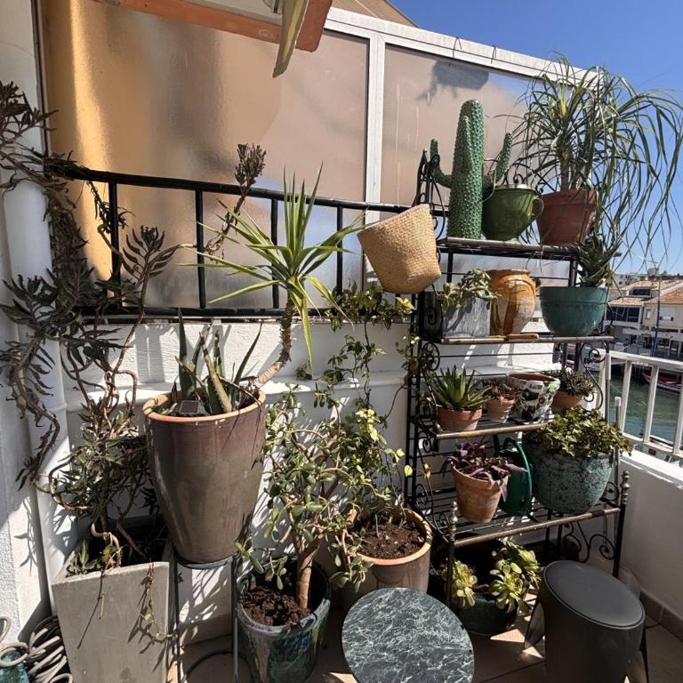 Les Quais de Palavas, Terrace & Air Conditioning - Appartement 2 Chambres - 40