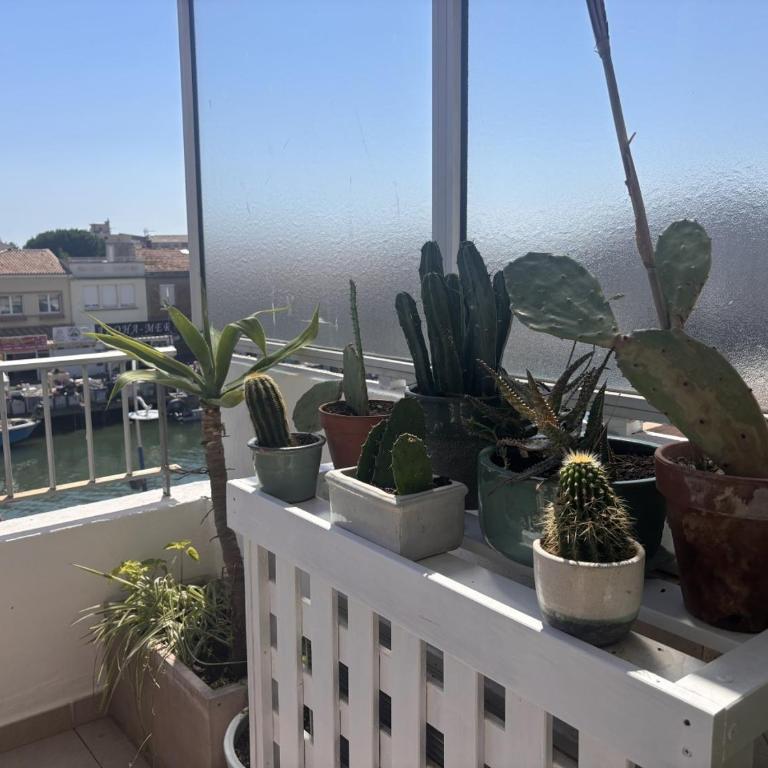Les Quais de Palavas, Terrace & Air Conditioning - Appartement 2 Chambres - 44