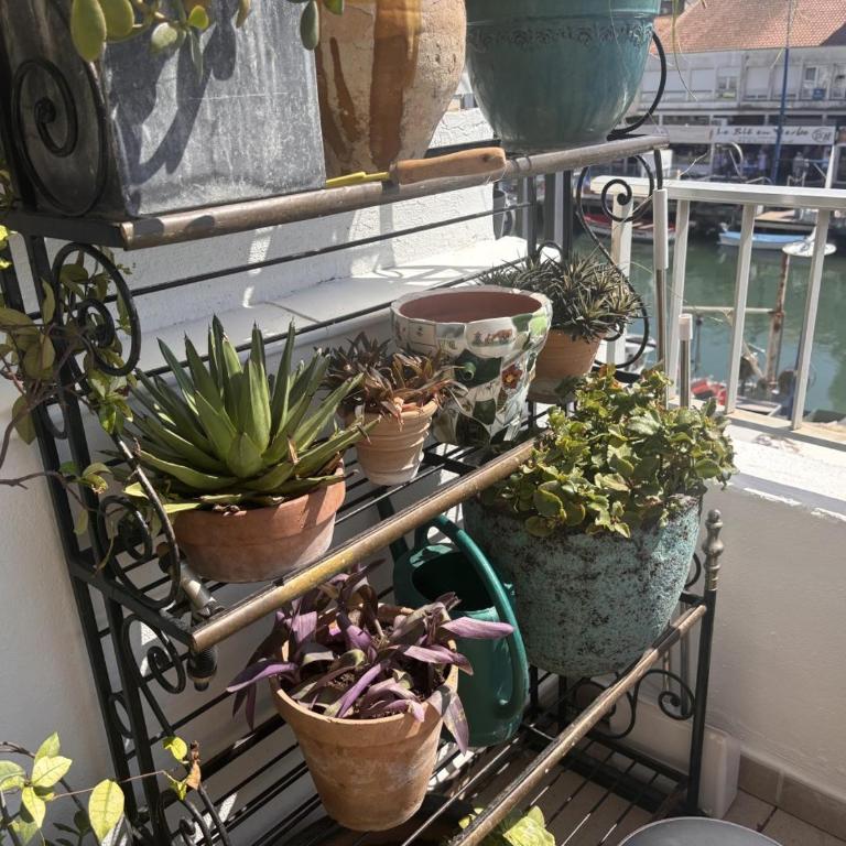 Les Quais de Palavas, Terrace & Air Conditioning - Appartement 2 Chambres - 45