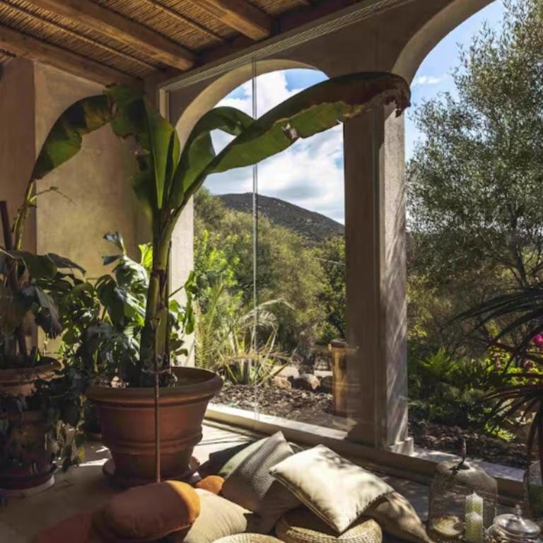 The Olive Grove - Villa con Vista Mare - 12