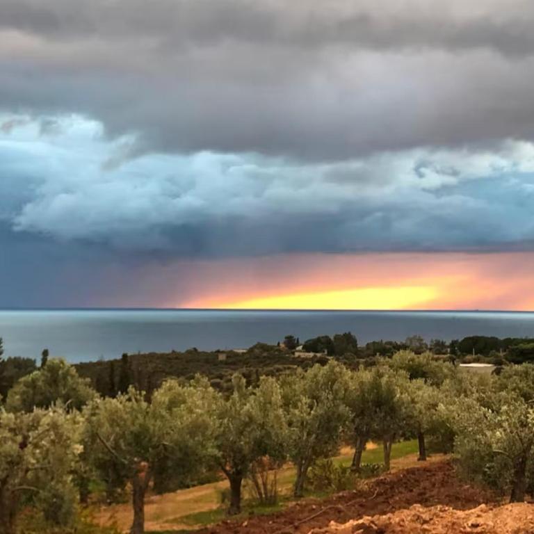 The Olive Grove - Villa con Vista Mare - 40
