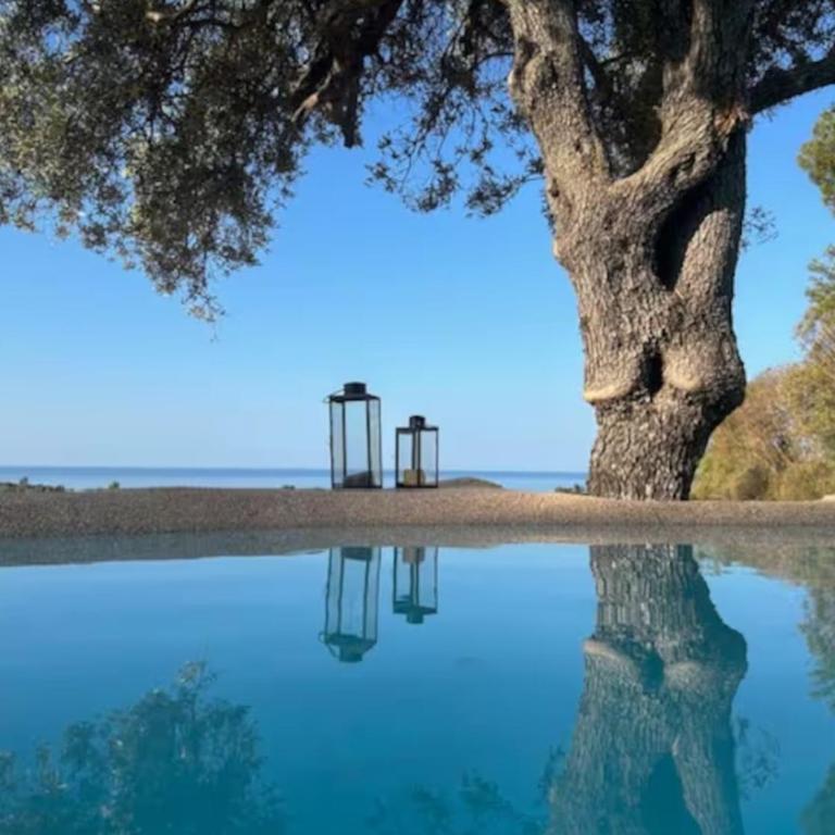 The Olive Grove - Villa con Vista Mare - 5