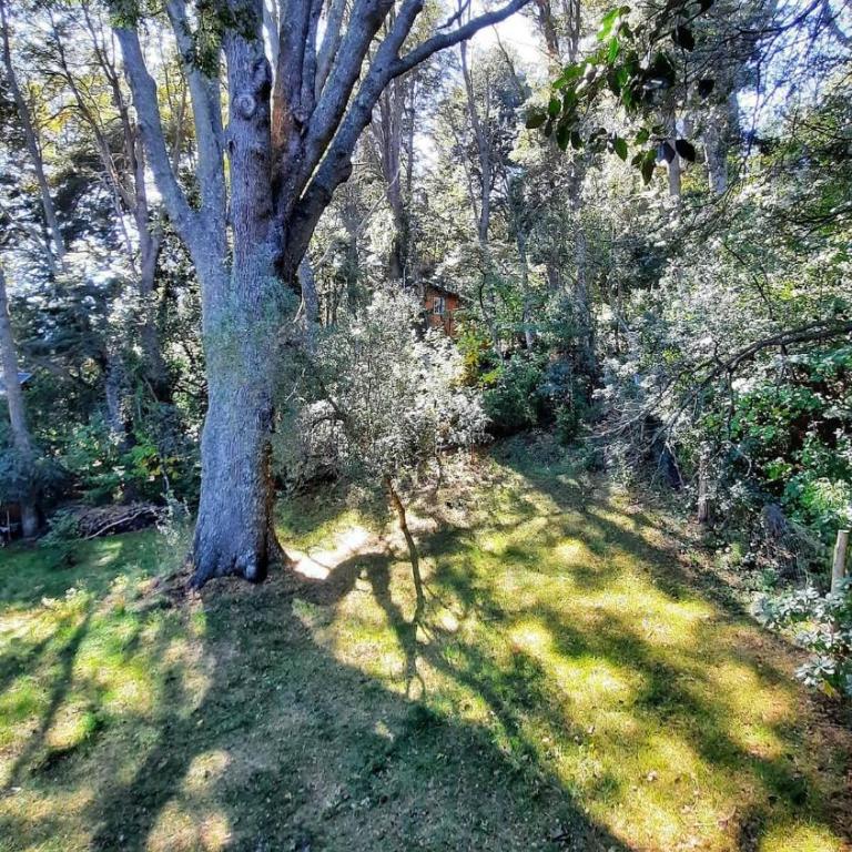 Refugio tranquilo en el bosque cerca del lago - One-Bedroom House - 8
