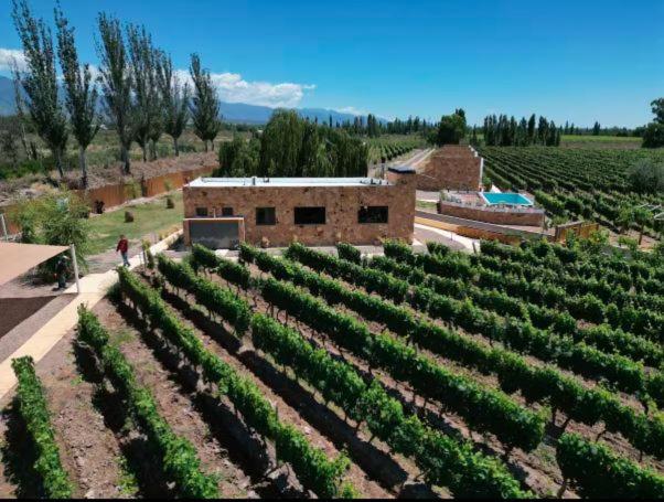 Rincon del Malbec - Casa de 2 dormitorios - 12