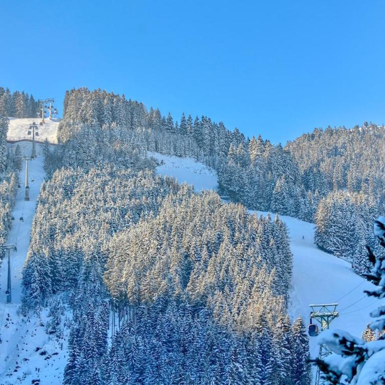 Quiet Mountain Apartment with Reserved On-Site Parking - Apartamento Superior - 23