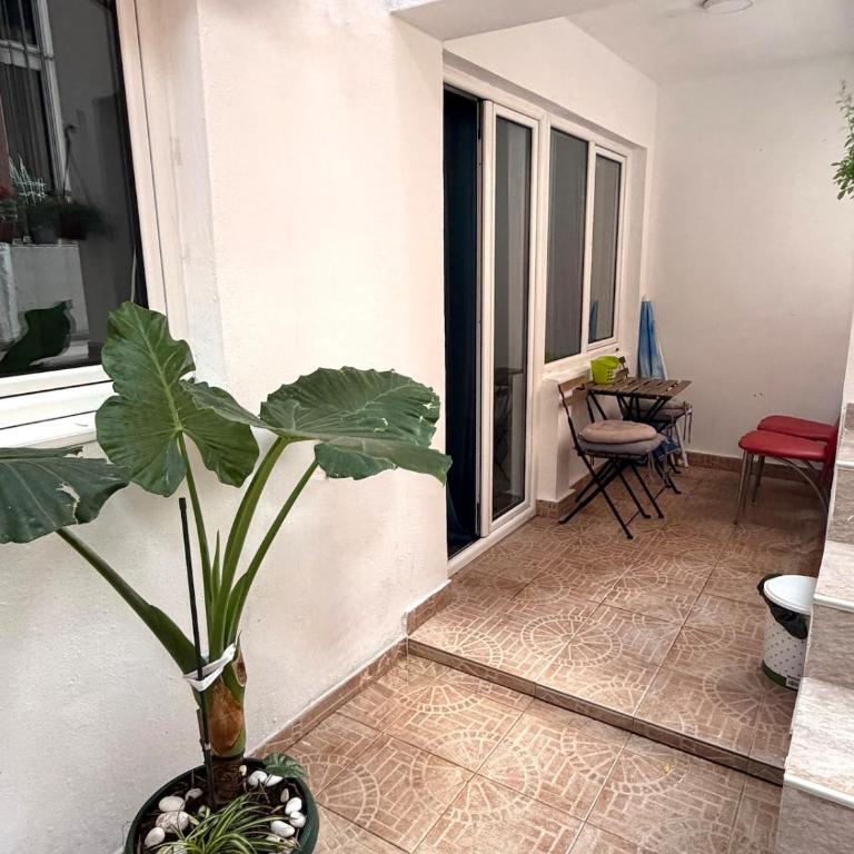 Family one bedroom apartmant Sunshine Budva - Apartman sa 1 Spavaćom Sobom - 9