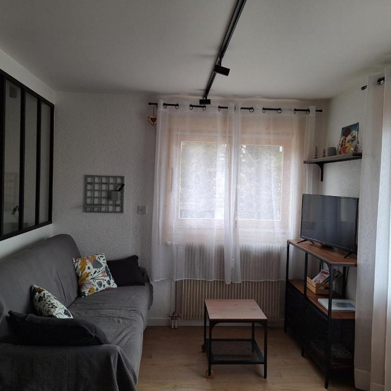Appartement 4 pers. 1 ch. avec lave-linge à Samoëns - FR-1-846-37 - Studio - 10