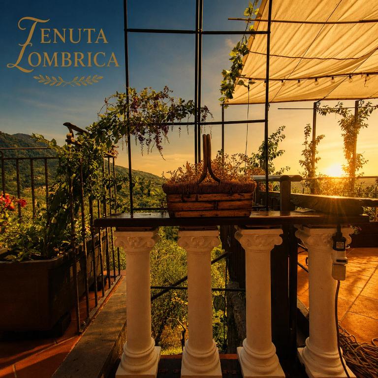 Tenuta Lombrica - Casa con 3 Camere da Letto - 34