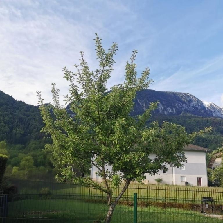 Appartement à la montagne, jardin, parking, linge de maison - Appartement 1 Chambre - Vue sur Jardin - 28